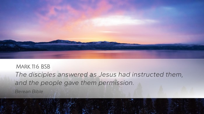Mark 11:6 BSB Desktop Wallpaper - The disciples answered as Jesus had instructed - Desktop Bible Verse Wallpaper