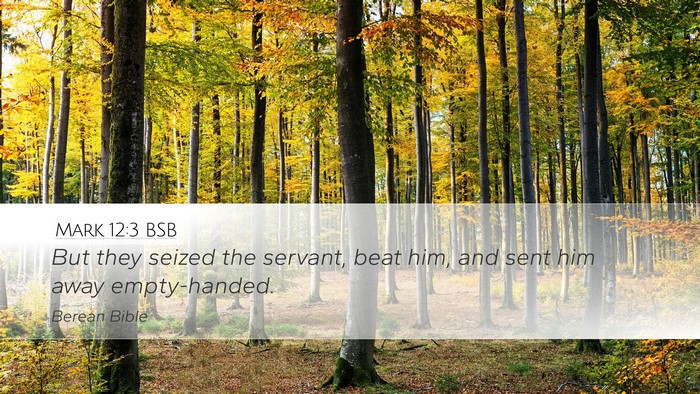 Mark 12:3 BSB Desktop Wallpaper - But they seized the servant, beat him, and sent - Desktop Bible Verse Wallpaper
