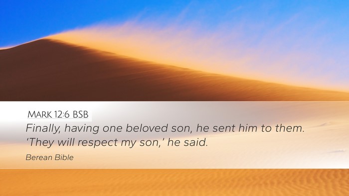 Mark 12:6 BSB Bible Verse Image