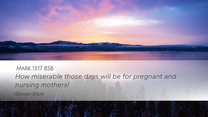 Mark 13:17 BSB Desktop Wallpaper - How miserable those days will be for pregnant and - Desktop Bible Verse Wallpaper