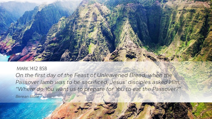 Mark 14:12 BSB Bible Verse Image