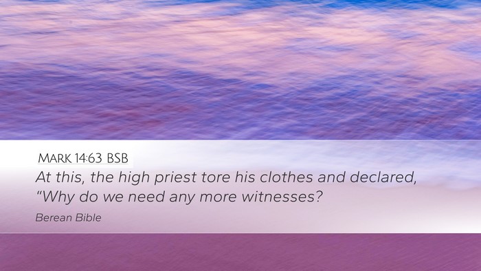 Mark 14:63 BSB Bible Verse Image