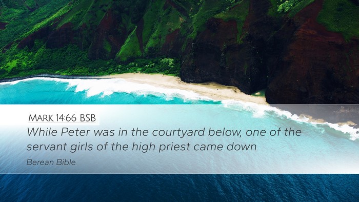 Mark 14:66 BSB Bible Verse Image