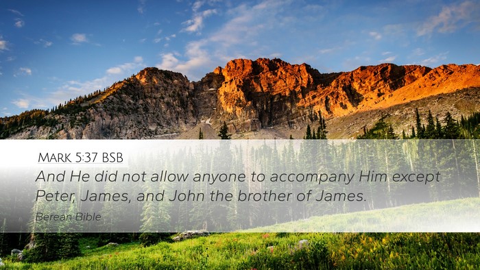 Mark 5:37 BSB Bible Verse Image