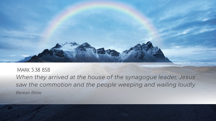 Mark 5:38 BSB Bible Verse Image