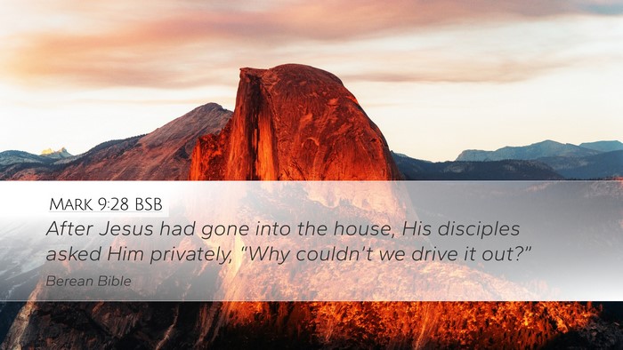Mark 9:28 BSB Bible Verse Image