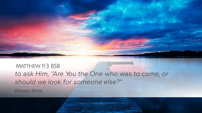 Matthew 11:3 BSB Desktop Wallpaper - to ask Him, “Are You the One who was to come, - Desktop Bible Verse Wallpaper