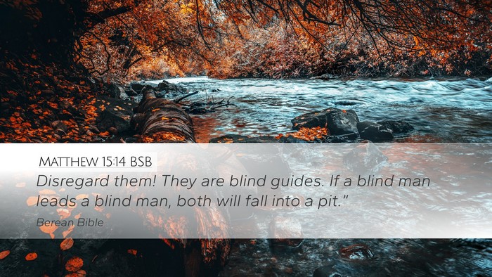 Matthew 15:14 BSB Bible Verse Image