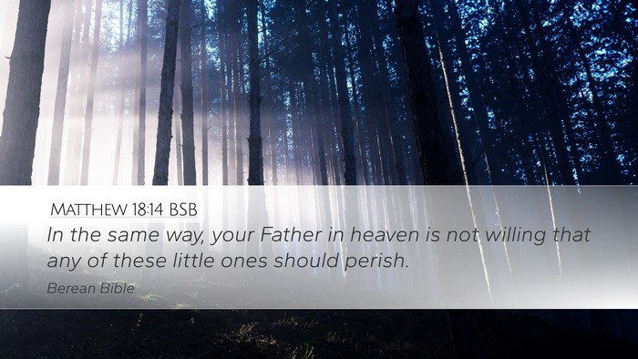 Matthew 18:14 BSB Bible Verse Image