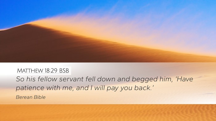 Matthew 18:29 BSB Bible Verse Image