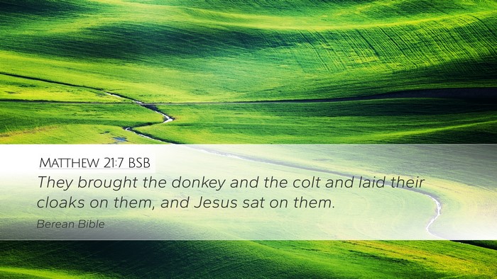 Matthew 21:7 BSB Desktop Wallpaper - They brought the donkey and the colt and laid - Desktop Bible Verse Wallpaper