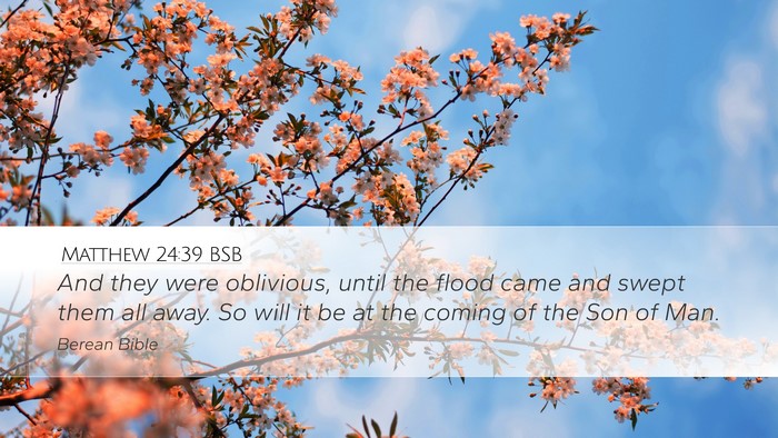 Matthew 24:39 BSB Bible Verse Image
