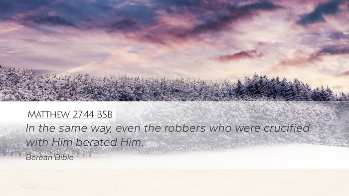 Matthew 27:44 BSB Bible Verse Image