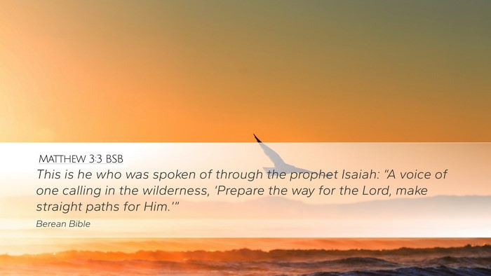 Matthew 3:3 BSB Bible Verse Image