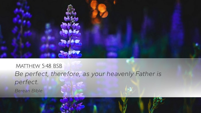 Matthew 5:48 BSB Bible Verse Image