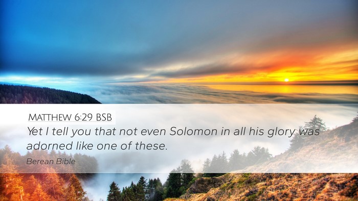 Matthew 6:29 BSB Bible Verse Image