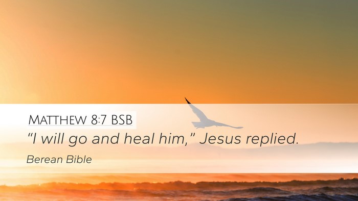 Matthew 8:7 BSB Bible Verse Image