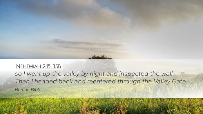 Nehemiah 2:15 BSB Bible Verse Image