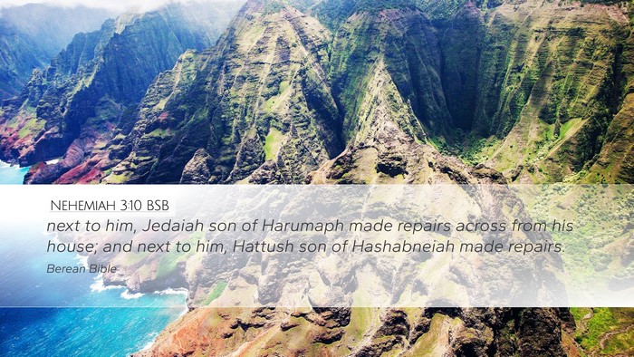 Nehemiah 3:10 BSB Bible Verse Image
