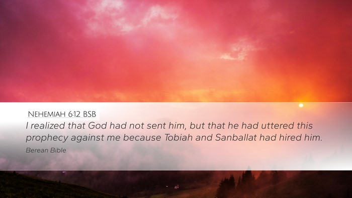 Nehemiah 6:12 BSB Bible Verse Image