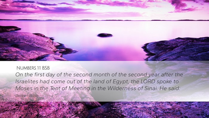 Numbers 1:1 BSB Desktop Wallpaper - On the first day of the second month of the - Desktop Bible Verse Wallpaper