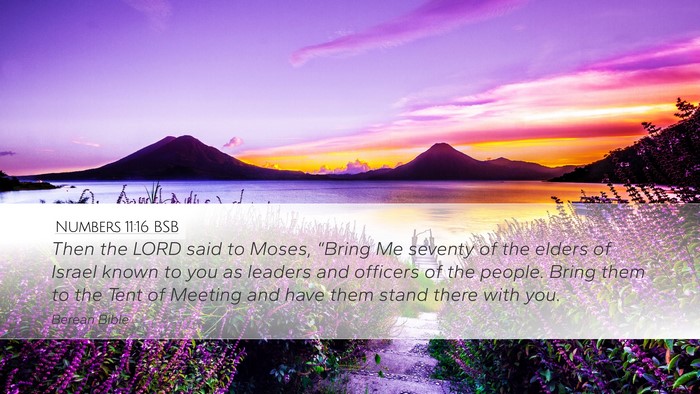 Numbers 11:16 BSB Bible Verse Image