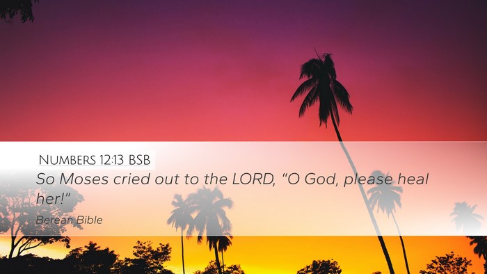 Numbers 12:13 BSB Bible Verse Image
