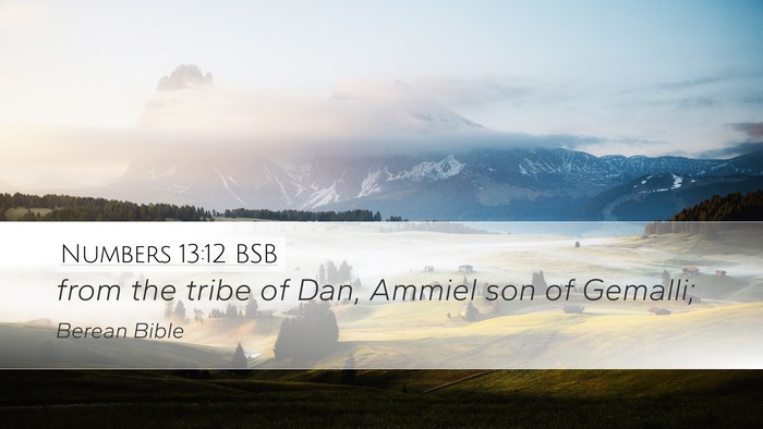Numbers 13:12 BSB Desktop Wallpaper - from the tribe of Dan, Ammiel son of - Desktop Bible Verse Wallpaper