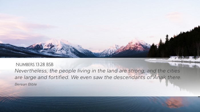 Numbers 13:28 BSB Bible Verse Image