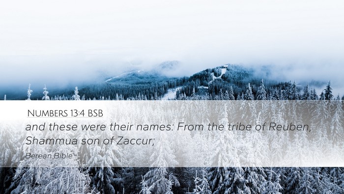 Numbers 13:4 BSB Bible Verse Image