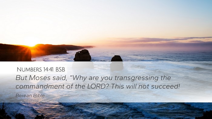 Numbers 14:41 BSB Bible Verse Image