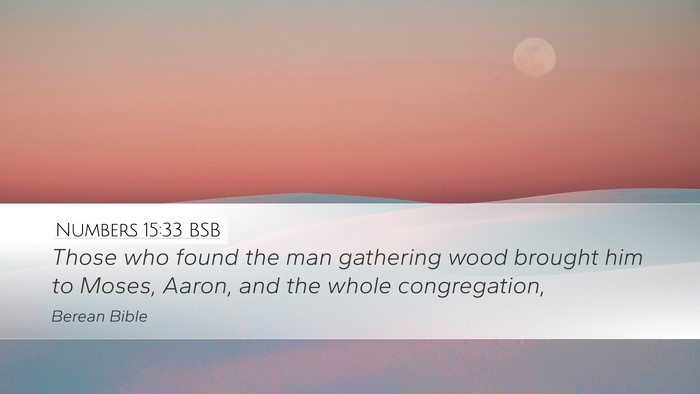 Numbers 15:33 BSB Bible Verse Image