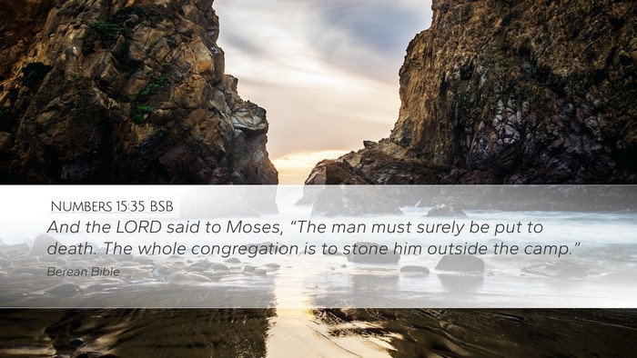 Numbers 15:35 BSB Bible Verse Image