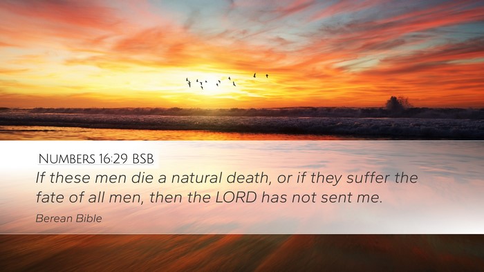 Numbers 16:29 BSB Bible Verse Image