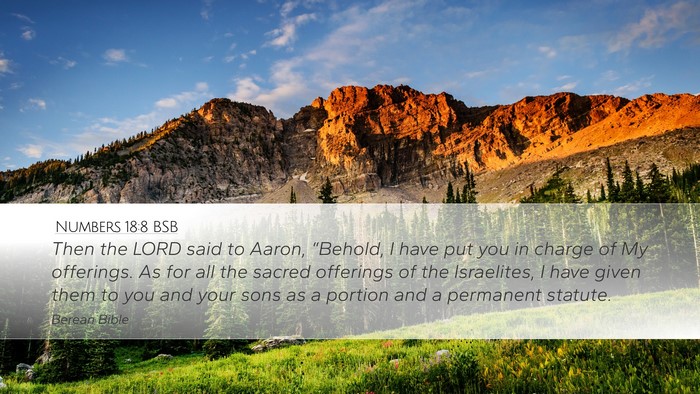 Numbers 18:8 BSB Bible Verse Image