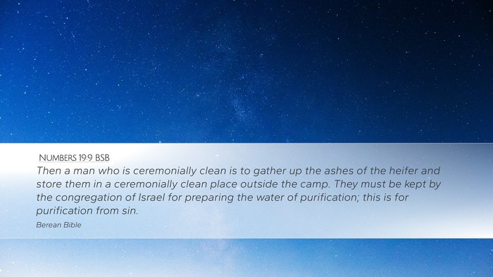Numbers 19:9 BSB Bible Verse Image