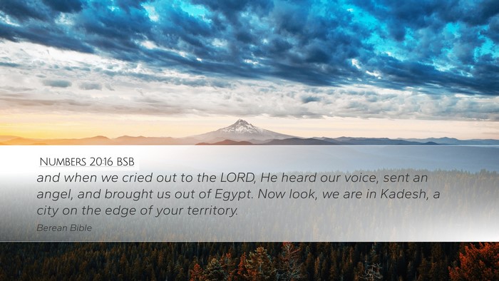 Numbers 20:16 BSB Bible Verse Image