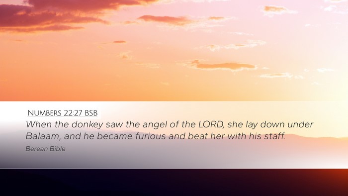 Numbers 22:27 BSB Desktop Wallpaper - When the donkey saw the angel of the LORD, she - Desktop Bible Verse Wallpaper