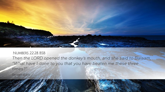 Numbers 22:28 BSB Bible Verse Image