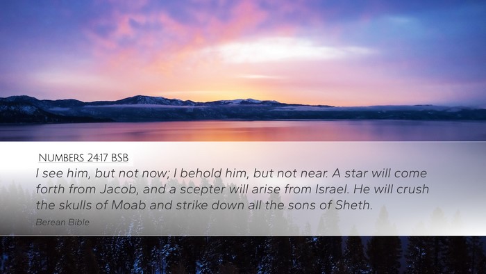 Numbers 24:17 BSB Bible Verse Image