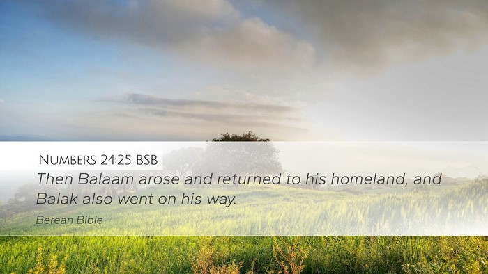 Numbers 24:25 BSB Desktop Wallpaper - Then Balaam arose and returned to his homeland, - Desktop Bible Verse Wallpaper