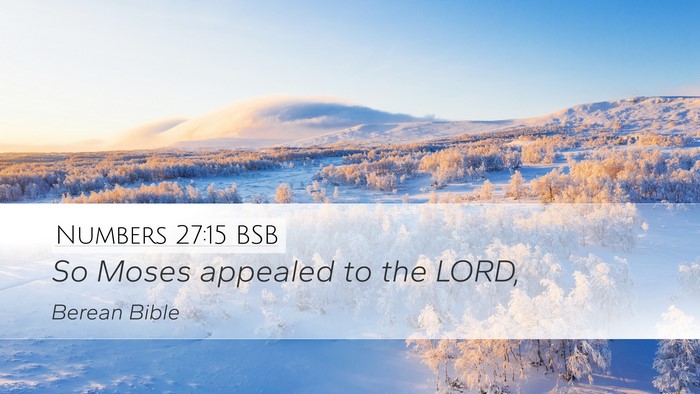 Numbers 27:15 BSB Desktop Wallpaper - So Moses appealed to the - Desktop Bible Verse Wallpaper