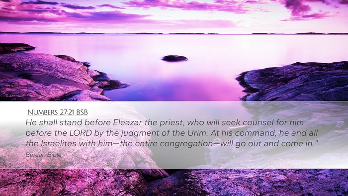 Numbers 27:21 BSB Bible Verse Image