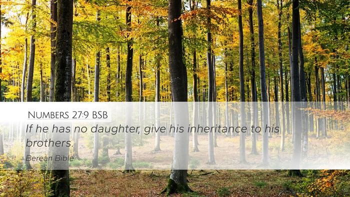 Numbers 27:9 BSB Desktop Wallpaper - If he has no daughter, give his inheritance to - Desktop Bible Verse Wallpaper