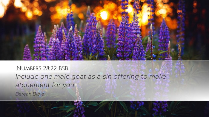 Numbers 28:22 BSB Desktop Wallpaper - Include one male goat as a sin offering to make - Desktop Bible Verse Wallpaper