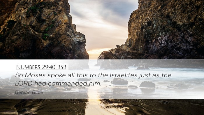 Numbers 29:40 BSB Bible Verse Image