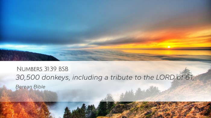 Numbers 31:39 BSB Desktop Wallpaper - 30,500 donkeys, including a tribute to the LORD - Desktop Bible Verse Wallpaper
