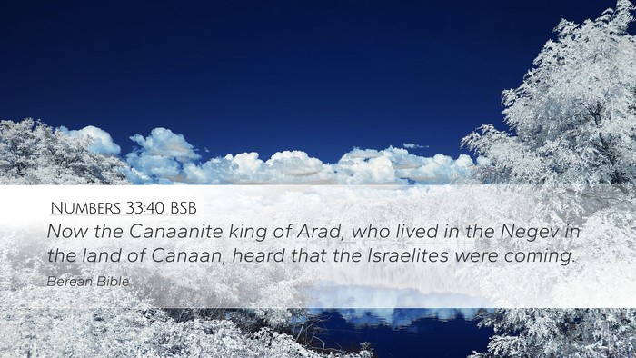Numbers 33:40 BSB Desktop Wallpaper - Now the Canaanite king of Arad, who lived in the - Desktop Bible Verse Wallpaper