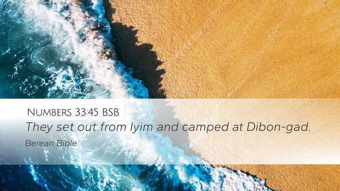 Numbers 33:45 BSB Bible Verse Image