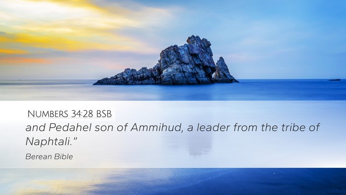 Numbers 34:28 BSB Desktop Wallpaper - and Pedahel son of Ammihud, a leader from the - Desktop Bible Verse Wallpaper